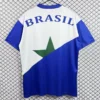 Brazil 1993/94 Retro Training Shirt - Back View | KFCOOL