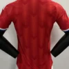 Chile 2026/27 Home Jersey Player Version - Back View | KFCOOL
