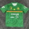 Cameroon 2025/26 Green Training Shirt - Front View | KFCOOL