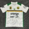 White soccer jersey with green shoulders and sides, featuring Cameroon crest, a lion emblem, and sponsor logos (Orange and World Cola).