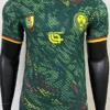 Cameroon 2026/27 Home Jersey Player Version - Front View | KFCOOL