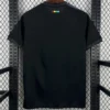 Colo-Colo 2026/27 Away Jersey Fan Version - Back View Colo-Colo 2026/27 Away Jersey Fan Version - Back View | KFCOOL
