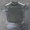Colo-Colo 2026/27 Goalkeeper Jersey Fan Version - Back View Colo-Colo 2026/27 Goalkeeper Jersey Fan Version - Back View | KFCOOL