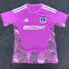 Colo-Colo 2026/27 Goalkeeper Purple Jersey Fan Version - Front View | KFCOOL