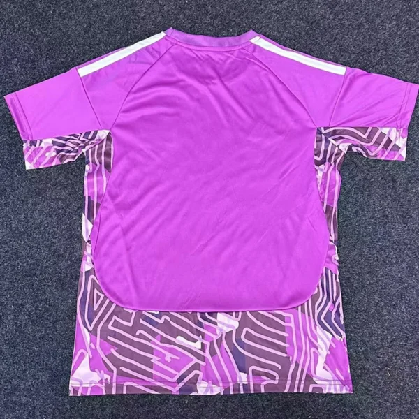 Colo-Colo 2026/27 Goalkeeper Purple Jersey Fan Version - Back View | KFCOOL
