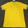 Cruzeiro 2026/27 Special Edition Jersey Fan Version - Back View | KFCOOL