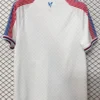 Crystal Palace 2026/27 Home Jersey Fan Version - Back View | KFCOOL