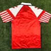 Denmark 1992/93 Retro Home Jersey Fan Version - Back View | KFCOOL