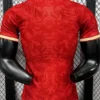 England 2026/27 Special Edition Training Shirt Player Version - Back View | KFCOOL