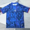 France 2026/27 Blue Special Edition Training Shirt - Front View France 2026/27 Blue Special Edition Training Shirt - Front View | KFCOOL