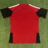 Germany 2026/27 Red Training Shirt - Back View | KFCOOL