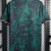 Italy 2023/24 Green Special Edition Jersey Fan Version - Back View | KFCOOL