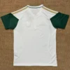 Italy 2026/27 Polo Shirt - Back View - KFCool – Football Jerseys & Soccer Kits Store Italy 2026/27 Polo Shirt - Back View | KFCOOL