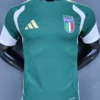 Italy 2026/27 Training Shirt Player Version - Front View Italy 2026/27 Training Shirt Player Version - Front View | KFCOOL