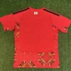 Japan 2026/27 Goalkeeper Jersey Fan Version - Back View Japan 2026/27 Goalkeeper Jersey Fan Version - Back View | KFCOOL