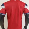 Lille 2026/27 Home Jersey Player Version - Back View | KFCOOL