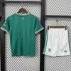 Liverpool 2025/26 Third Kids Kit Fan Version - Back View | KFCOOL
