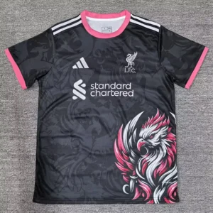 Liverpool 2025/26 Black Special Edition Training Shirt Fan Version - Front View | KFCOOL