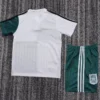 Liverpool 1995/96 Retro Away Kids Kit Fan Version - Back View - KFCool – Football Jerseys & Soccer Kits Store Liverpool 1995/96 Retro Away Kids Kit Fan Version - Back View | KFCOOL