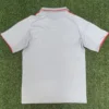 Lyon 2025/26 Third Jersey Fan Version - Back View Lyon 2025/26 Third Jersey Fan Version - Back View | KFCOOL