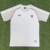 Lyon 2025/26 Training Shirt Fan Version - Front View Lyon 2025/26 Training Shirt Fan Version - Front View | KFCOOL