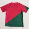 Morocco 2025/26 Red Green Special Edition Training Shirt - Back View | KFCOOL