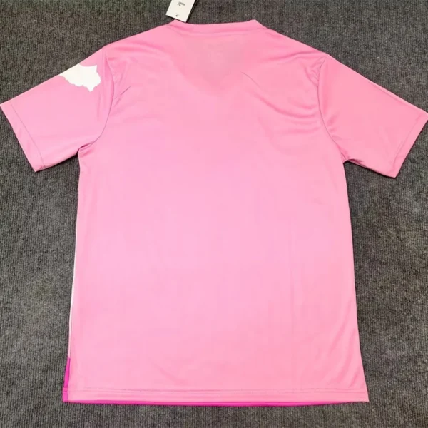 Morocco 2025/26 Pink White Special Edition Training Shirt - Back View | KFCOOL