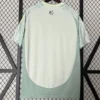 Mexico 2024/25 Away Jersey Fan Version - Back View Mexico 2024/25 Away Jersey Fan Version - Back View | KFCOOL