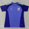 Mexico 2026/27 Goalkeeper Jersey Fan Version - Front View Mexico 2026/27 Goalkeeper Jersey Fan Version - Front View | KFCOOL