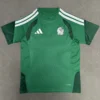 Mexico 2026/27 Green White Training Shirt Fan Version - Front View Mexico 2026/27 Green White Training Shirt Fan Version - Front View | KFCOOL