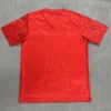 Mexico 2026/27 Red Special Edition Training Shirt - Back View | KFCOOL