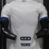 Monterrey 2026/27 Third Jersey Player Version - Back View Monterrey 2026/27 Third Jersey Player Version - Back View | KFCOOL