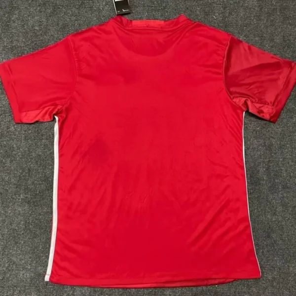 Manchester United 2016/17 Home Jersey Fan Version - Back View | KFCOOL