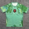 Netherlands 2026/27 Goalkeeper Green Jersey Fan Version - Front View Netherlands 2026/27 Goalkeeper Green Jersey Fan Version - Front View | KFCOOL