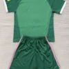 Newcastle United 2026/27 Goalkeeper Kids Kit Fan Version - Back View | KFCOOL