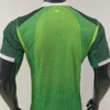 Nigeria 2026/27 Home Jersey Player Version - Back View Nigeria 2026/27 Home Jersey Player Version - Back View | KFCOOL