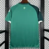 Northern Ireland 2026/27 Home Jersey Fan Version - Back View Back view of a green athletic jersey with dark green sleeves and white cuffs, hanging on a wooden hanger in a metal rack; small emblem on the upper back.