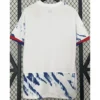 Norway 2024/25 Away Jersey Fan Version - Back View | KFCOOL