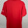 Osasuna 2025/26 Special Edition Jersey Fan Version - Back View Osasuna 2025/26 Special Edition Jersey Fan Version - Back View | KFCOOL