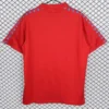 Osasuna 1983/84 Retro Home Jersey Fan Version - Back View Osasuna 1983/84 Retro Home Jersey Fan Version - Back View | KFCOOL