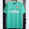 Palmeiras 2019/20 Third Jersey Fan Version - Front View | KFCOOL