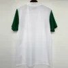 Palmeiras 2025/26 Away Jersey Fan Version - Back View Palmeiras 2025/26 Away Jersey Fan Version - Back View | KFCOOL