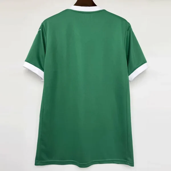 Palmeiras 2025/26 Home Jersey Fan Version - Back View | KFCOOL