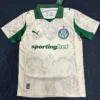 Palmeiras 2025/26 Third Jersey Fan Version - Front View | KFCOOL