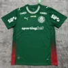 Palmeiras 2026/27 Home Green Jersey Fan Version - Front View | KFCOOL