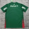 Palmeiras 2026/27 Home Green Jersey Fan Version - Back View | KFCOOL