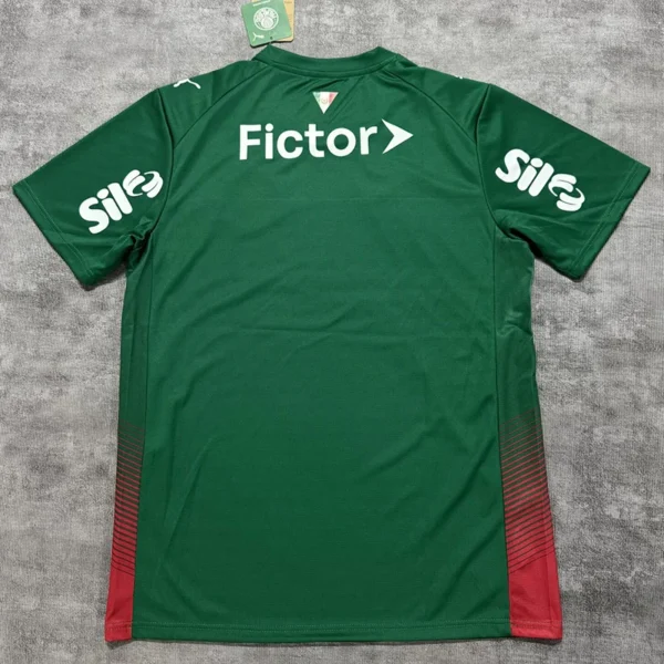 Palmeiras 2026/27 Home Green Jersey Fan Version - Back View | KFCOOL