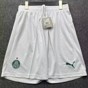 Palmeiras 2026/27 Home Shorts - Front View Palmeiras 2026/27 Home Shorts - Front View | KFCOOL