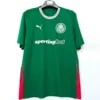 Palmeiras 2026/27 Home Jersey Fan Version - Front View | KFCOOL