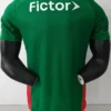 Palmeiras 2026/27 Home Jersey Player Version - Back View | KFCOOL